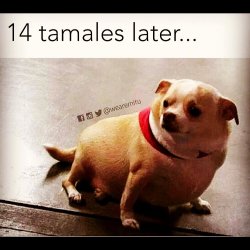 #oof #tamales #me #what