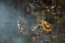 odditiesoflife:  The Ancient Art of Honey Hunting in Nepal The Gurange tribes of Nepal have been collecting honey from Himalayan cliffs for centuries. The Gurung are master honey hunters, risking their lives collecting honeycomb using nothing more than
