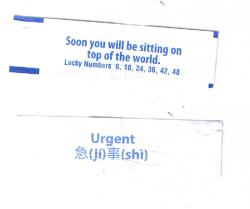 fortuneaday:[A white fortune cookie paper with blue text. Front: Soon you will be sitting on top of the world. Lucky Numbers 6, 18, 24, 36, 42, 48 Back: Urgent, Chinese text (jí) (shì)]