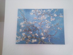 My reproduction of Van Gogh’s Almond Blossoms came today!!!! I’m going to order the red one next. It’s so beautiful, I can’t stop looking at it