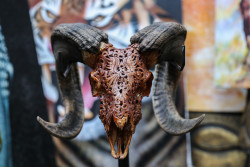 moshita:  Carved SkullsBalinese Art combined with Western Services. Skull Bliss is made up of a large team of extremely talented indigenous artists from Bali combined with a Western Management. They take pride in producing jaw-dropping 100% handcrafted