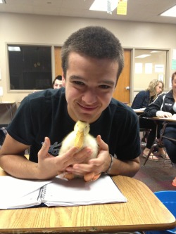 slap-my-titties:  awesometastical101:  teenytigress:  DUCK UPDATE: TODAY WE HAD A FIRE DRILL AND HE CARRIED THE DUCKY OUTSIDE WITH HIM AND CRADLED IT PROTECTIVELY AND MOTHERLY INSTINCTS ARE FUCKING ADORABLE  I really like this dude a lot.  i don’t reall