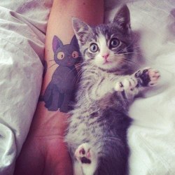 tattoome:  tattoome:  - Do you like cats? - No. - You’re heartless son of a b*tch…  someone’s famous :) 