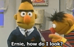asammyg:  Cut the shit, Ernie. 