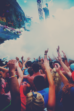 undersensitive:  rave-republic:  Tomorrowland 2013 | StudioBrussel  can i be there 