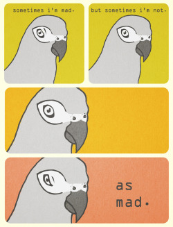 beakfreaks:silly comic thing based off my lovely moody bird.