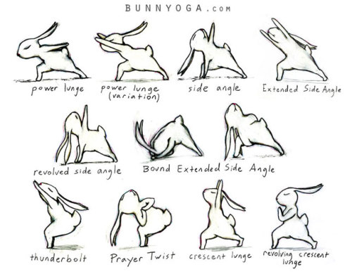 on  tumblr poses Tumblr bunny yoga  poses yoga