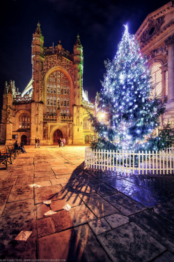 xmas-in-kanata:  Bath Abbey, Christmas Tree, Roman Baths, Somerset, England by Fragga on Flickr.  omg that&hellip;holy fuck that&rsquo;s just&hellip;wow