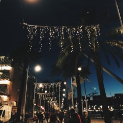 wheredoyoutravel:  Shake it up, shake up the happiness. It’s Christmas time. by annalacici // via Instagram http://ift.tt/1AMmQw1