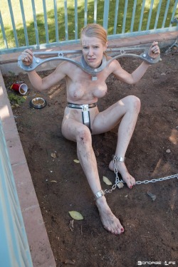 thetrainingofme:  ginaboundlife:The lovely Greyhound in chastity and chains! Visit her site to see her in bondage EVERY DAY of her life! https://www.bondagelife.com?aid=117282  I adore greyhound and aspire to be just like her. 