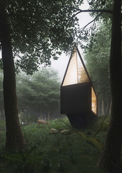 arkitekcher:  Cabin in the Forest  |  Tomek MichalskiSoftware: Adobe Photoshop, Autodesk 3ds Max, Corona