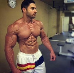 muscleworshipper08:  Arab muscle!!!