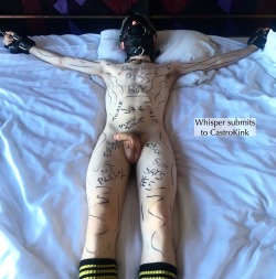 puppixel:  pupnobley:  castrokinky:  I might have gotten carried away with the Sharpie. @whisperpup  Ooooh Whisper’s ticklish? =D *prods and pokes belly*  A ticklish puppy? :O *helps Nobley* 