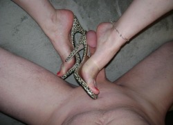 Shaven dick squeezed by clear leopard mules. Source: Mrs. Hb
