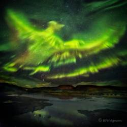 A Phoenix Aurora over Iceland #nasa #apod #phoenix #aurora #atmosphere #solarparticles #pareidolia #iceland #helgafell #kalda #solarsystem #science #space  #astronomy
