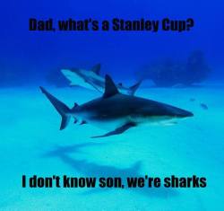 swellsyndrome:  Initiate Heimlich Maneuver. Had to dust off this old meme I made last year when the Sharks went out of the Stanley Cup Playoffs in Seven games during the second round.