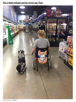 bookipsies:  beloved-rose:    Teen With Epilepsy Has A Seizure When Her Service Dog Is Distracted   This article is too important for me to just post a link that you probably won’t click through to read.  THIS is why you DO NOT EVER pet service dogs.