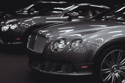 artoftheautomobile:  Bentley Continental GTs (Credit: Xavier)