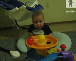 mentalalchemy:  anomalousdata:  thefrogman:  [video]  This is extra entertaining because I remembered that babies don’t have object permanence: when an object is out of their line of sight, they don’t quite realize that it still exists. So this baby