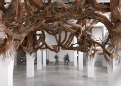 culturenlifestyle:  Twisted Tree Branch Installation by Henrique OliveiraBrazilian artist Henrique Oliveira’s installations often feature a spectacular presence of tree branches overpowering artifice. Titled Baitogogo, the sculpture  seems to be