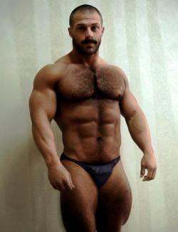 proudbulge:  Love him.   Handsome hairy, sexy, nice pecs and posing brief with a nice bulge - WOOF