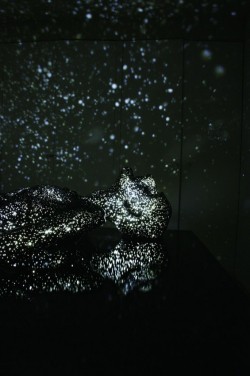 martinekenblog:  The sculptures of Mihoko Ogaki are deeply felt.  Her sculptures often deal with the heavy ideas of life and death.  This series titled Milky Ways follows suit.  Plastic sculptures of people inhabit darkened rooms.  Lit from within,