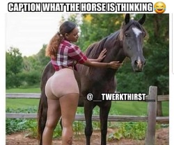 twerkthirst:  Caption what the horse thinking 👀 #Twerkthirst