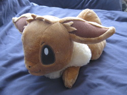 plushcrush:  2014 Banpresto I &lt;3 Eevee Series Eevee ‘Sprawl’ Plush Hangtag: Unattached Tushtag: Intact  look at the cutest baby highly recommend him if you can find one. mine was like&hellip;์ but like ฤ of that was UK shipping so yea. to the