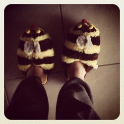 Bumblebee slippers! #cold #florida #slippers #bumblebee #stripes #black #yellow #gray #sweatpants #wings