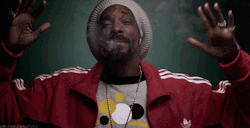 weedporndaily:  Snoop Dogg Has Launched a Marijuana-Lifestyle Media Platform Called Merry Jane(TIME) Snoop Dogg has launched a new digital-media business called Merry Janethat will focus on all things cannabis, not unlike the rapper’s storied career.The