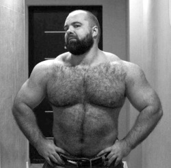 hairytreasurechests:  If you also like hairy and older men who are well hung and hang well please visit my other tumblr page! menwhohangwell.tumblr.com
