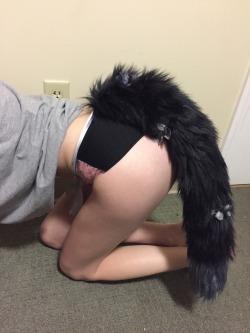 a-star-fell-from-heaven:  Modeling my first tail ever! It’s from @littleqsoddities. I love it so much! I received it fairly quickly, in a cute package that came with a coloring page and it’s great quality! Even better than I expected. I give it a