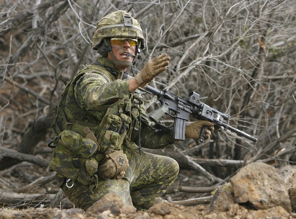 Canadian army demotivational
