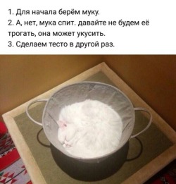napoleonchingon:  markv5: Как приготовить тесто “How to prepare the dough To begin with, take some flour Ah, no, the flour is sleeping. Let’s not bother her, she might bite We’ll prepare the dough some other time” 