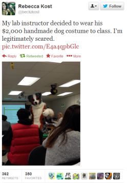 johnthemod1: juturnaway:  strigays:  muscleluvr2:  this is a 2000 dollar fursuit  honey your teacher is a furry  lab instructor by day, lab instructor by night   NO 
