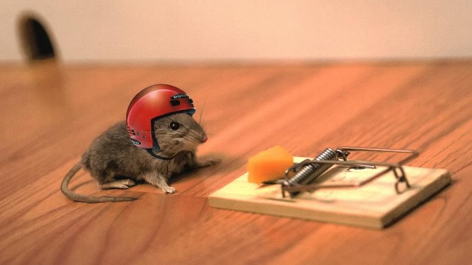 Bad day mouse trap