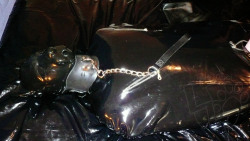 gummigimp:  Some gimpy time in Boots’ sleepsack, attached eyeless hood and my pup hood over (plus a posture collar) - how a rubber gimp pup should be stored 