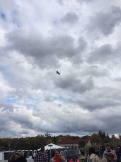 celestiawept2:  autumnbramble:  stunningpicture:  I was at a horse race yesterday when some kid lost his balloon…  THIS SCARED ME SO MUCH :5  good bye horses IM FLYIGN OVER YOU