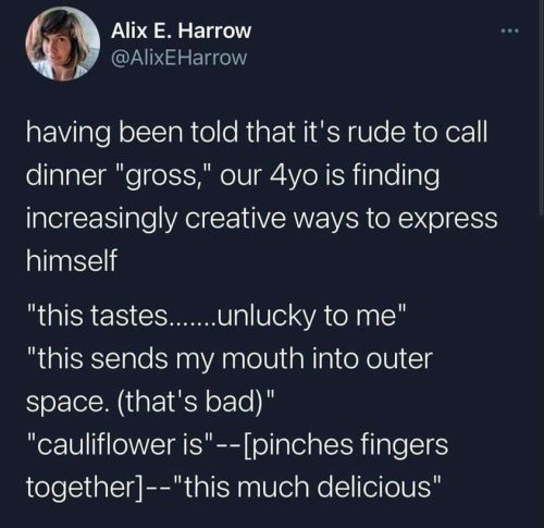 alethiaii:transenbyhollis:you told your toddler not to be rude and so now he is developing an incredible skill with sick fucking burns omg…but the last one with pinching fingers together and ‘this much delicious’ is fucking excellenti am using