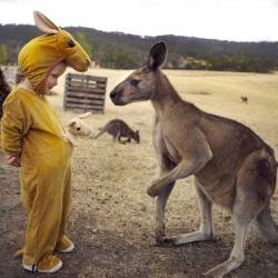 folhadespaulo:  Fantasiada, menina interage com cangurus em parque na Austrália; veja mais fotos: http://folha.com/131372 (Foto: Carters News/The Grosby Group) 