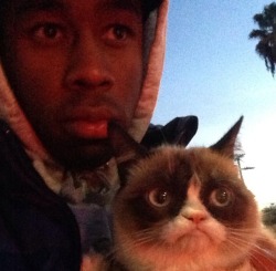 tyler the creator and the grumpy cat? ~mind is blown~