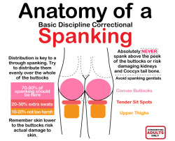 seemynaughtykitty:  americaninfographic:Spank You Very Much  ~