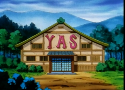 pokemon-global-academy:  noodlerama:Can we talk about the fact that there was a fucking gym in the pokemon anime called the YAS Gym?  
