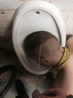 sadistpunishmentmaster:  Every real masculine man should have a urinal in his home. (Of the porcelain variety) Of course the faggot variety goes without saying