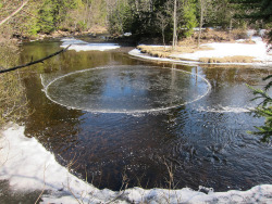 odditiesoflife:  Rare Ice Disks Although extremely rare, ice disks, also known as ice circles, do indeed appear naturally from time to time when conditions are perfect. Above are a few examples of people who have been lucky enough to stumble onto one