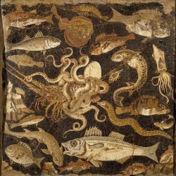 design-is-fine:Fish Mosaic, Pompeii, Casa del Fauno, 2nd century BC. Anonymous. Museo Archeologico Nazionale di Napoli. Source: Kunsthalle der Hypo-Kulturstiftung 