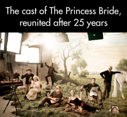 hobospice32:  dancingmuppet:  twistedlittlepup:  thebestsoylatteyoueverhadandme:  shfifty-five-en-half:  The cast of The Princess Bride 25 years later. Entertainment Weekly   Love the picture of Andre :’)  So great.   Awwwwwww  ♡ One of my favorite