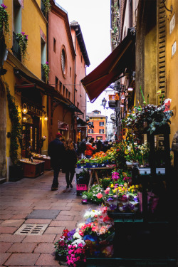 wanderlusteurope:  Flower market in Bologna 