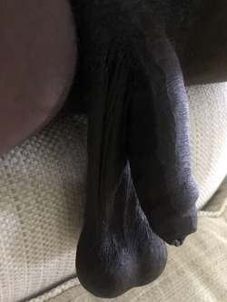 wranglerbear-bigandthick:  stuffa-crackas-mouth-w-bbc:  jayd13641:   PLEASE FEED ME YOUR BBC !!!   UNCUT BEER CAN THICK COCK Series - The Black Horse