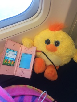 My boyfriend takes such good care of me. I was flying by myself for the first time and I was terrified. I hate flying and he knows this so he bought me a new ducky stuffie to keep me company and help me stay calm on my trip. He also let me use an old